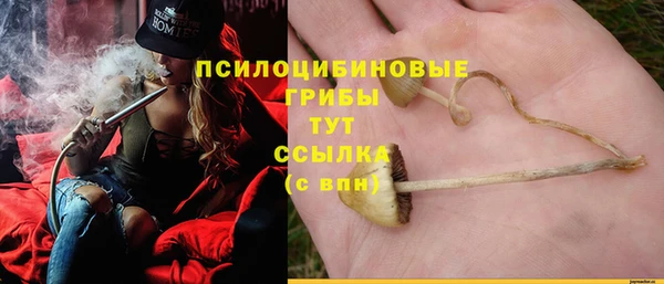 гашик Лихославль