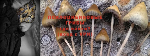 гашик Лихославль