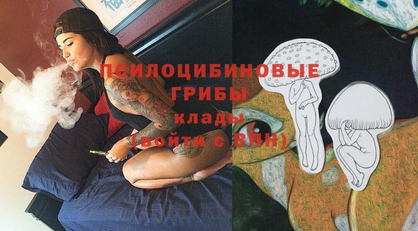 гашик Лихославль