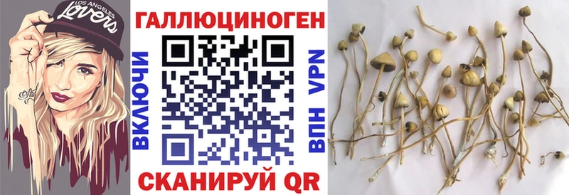 hydra рабочий сайт  Малаховка  Псилоцибиновые грибы ЛСД 